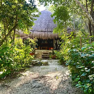  Camping Glamping Bunga Lotus Mexique